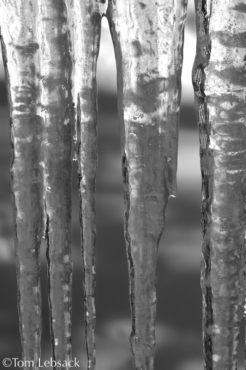 Icicles0020