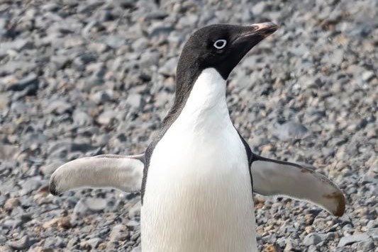 D82_3576 Edit%20Small