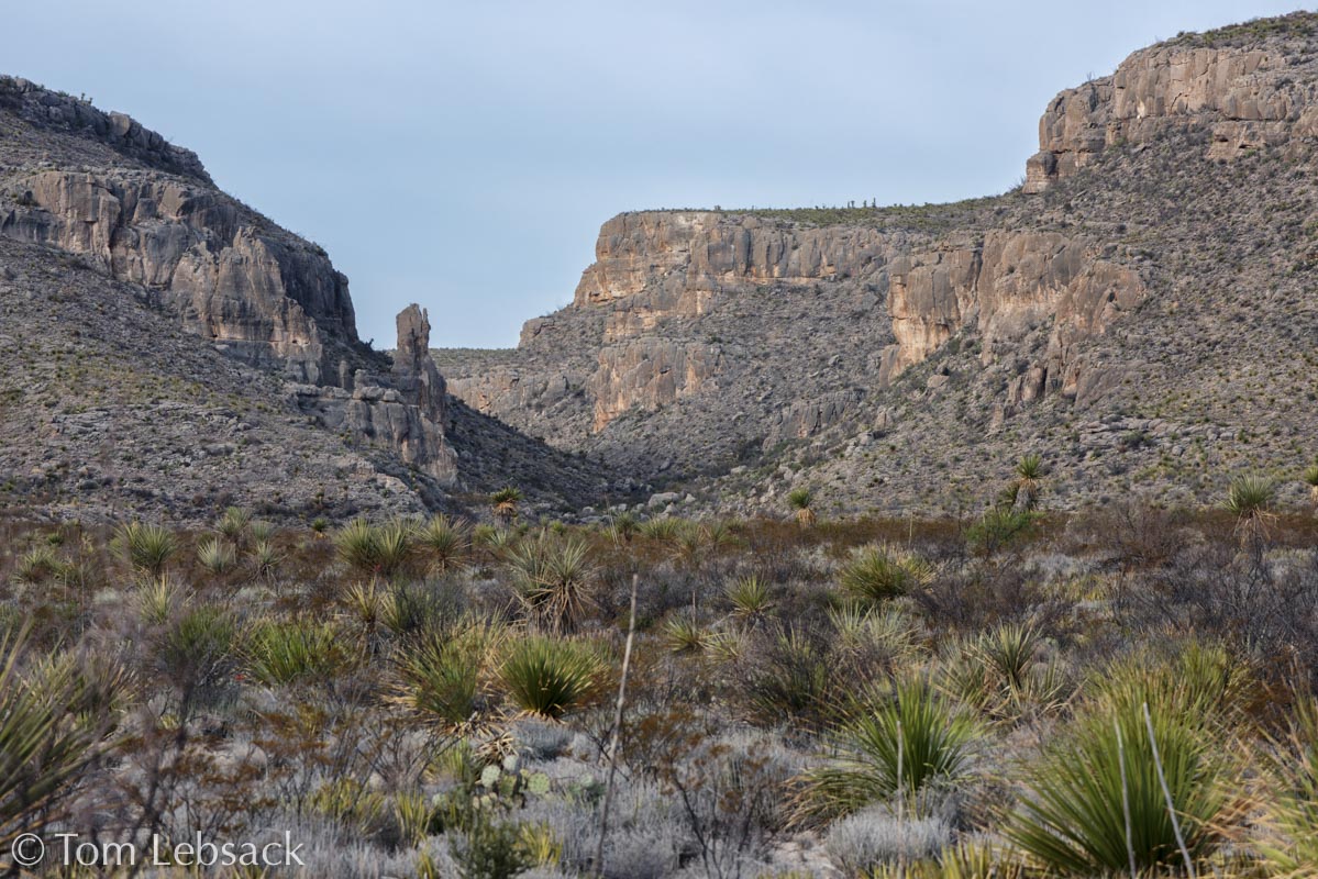 D82_6710 Pano-2