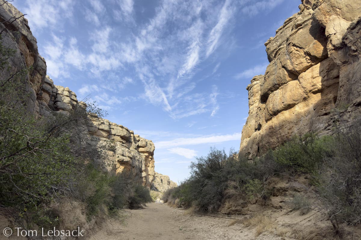 D82_6710 Pano-2